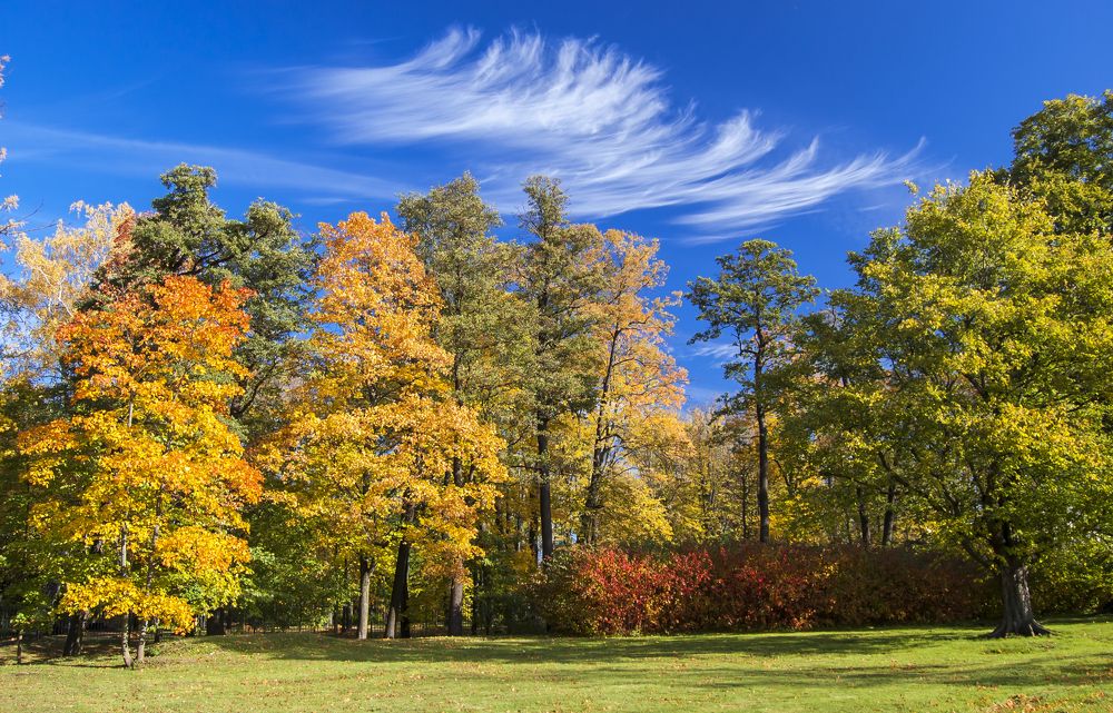 Осень а Александрии.