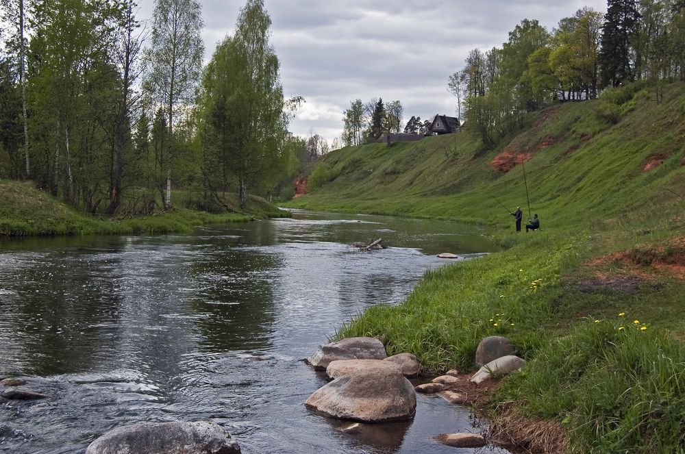 Река Оредеж.