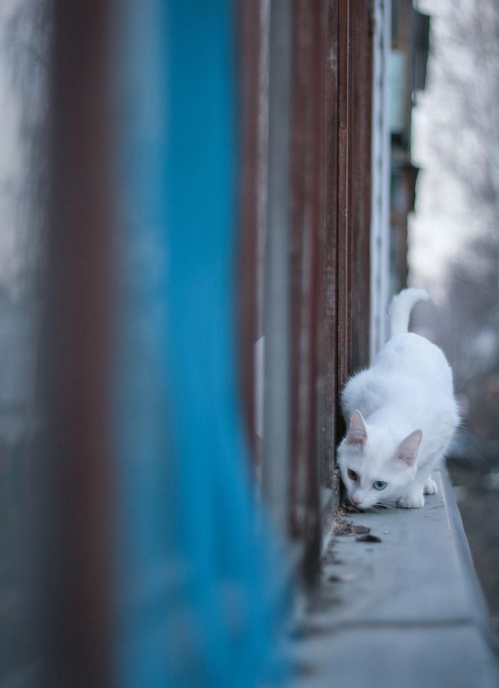 Photograph by Svoboda Andreeva