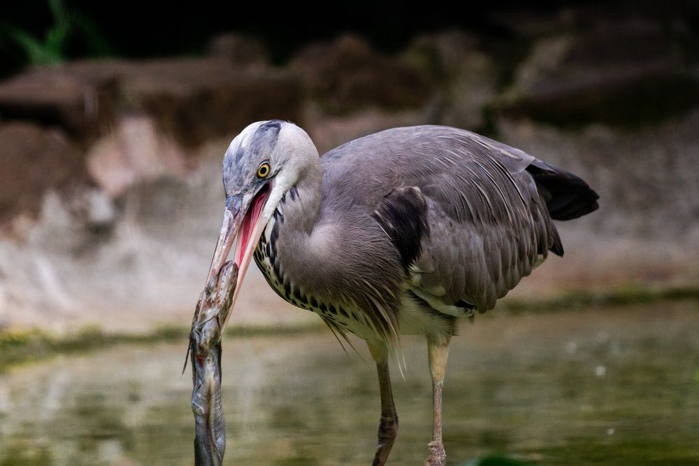 Photograph by Маргарита Таценко