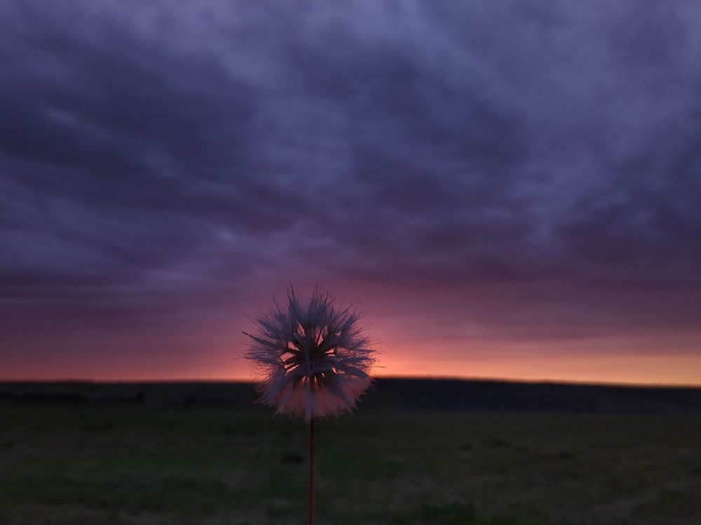 Photograph by Суворина Ольга