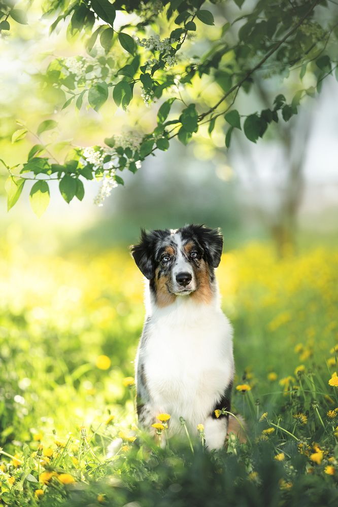 Photograph by Анастасия Чернявская