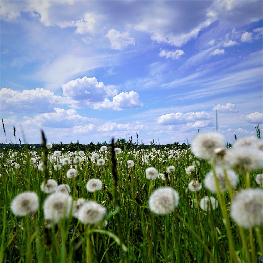 Photograph by Марина Безенкина