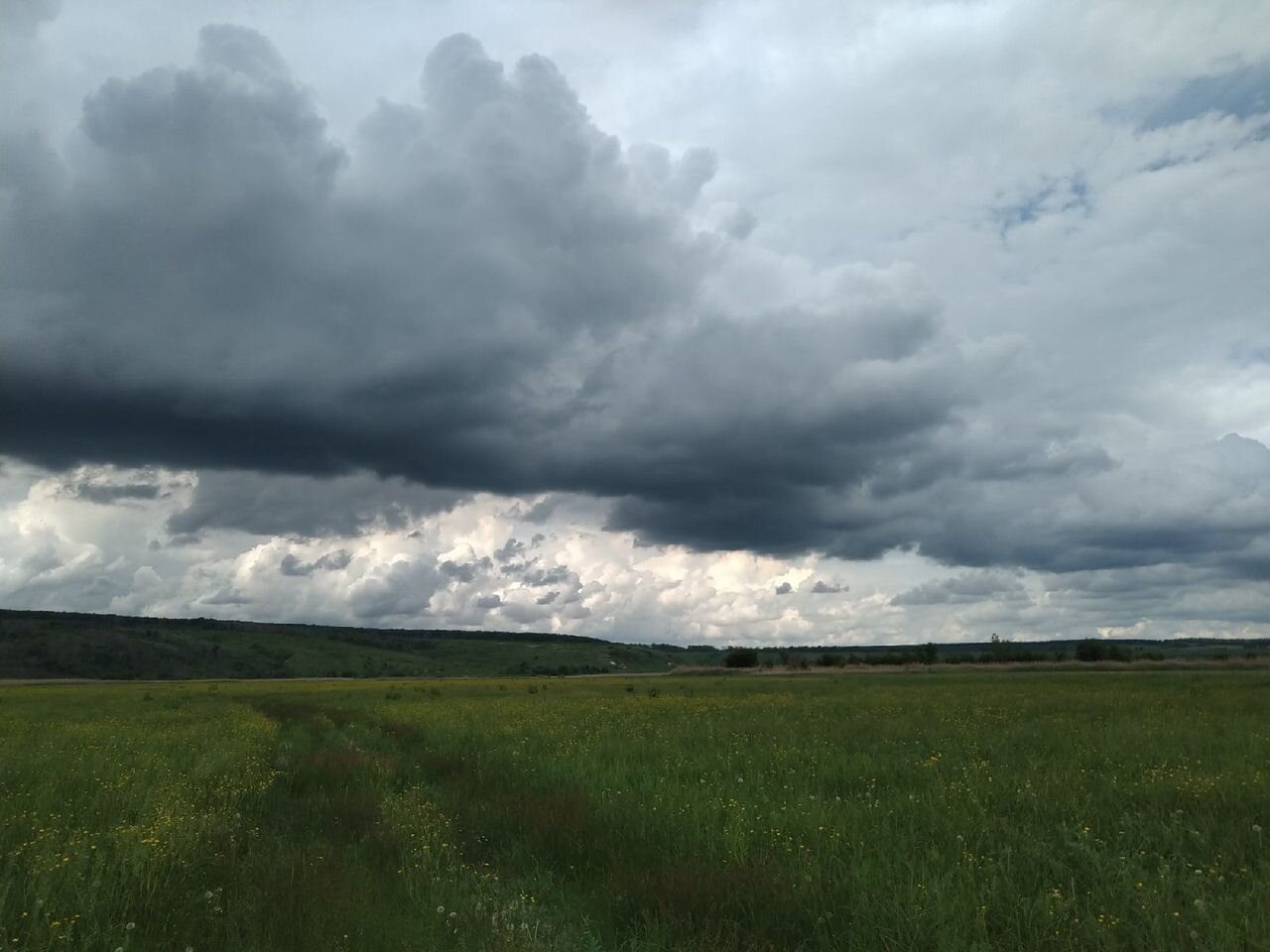 Photo #6161585