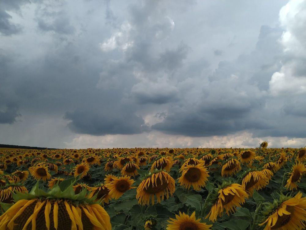 Photograph by Суворина Ольга