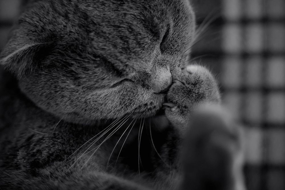 Photograph by Диана Лукашевич