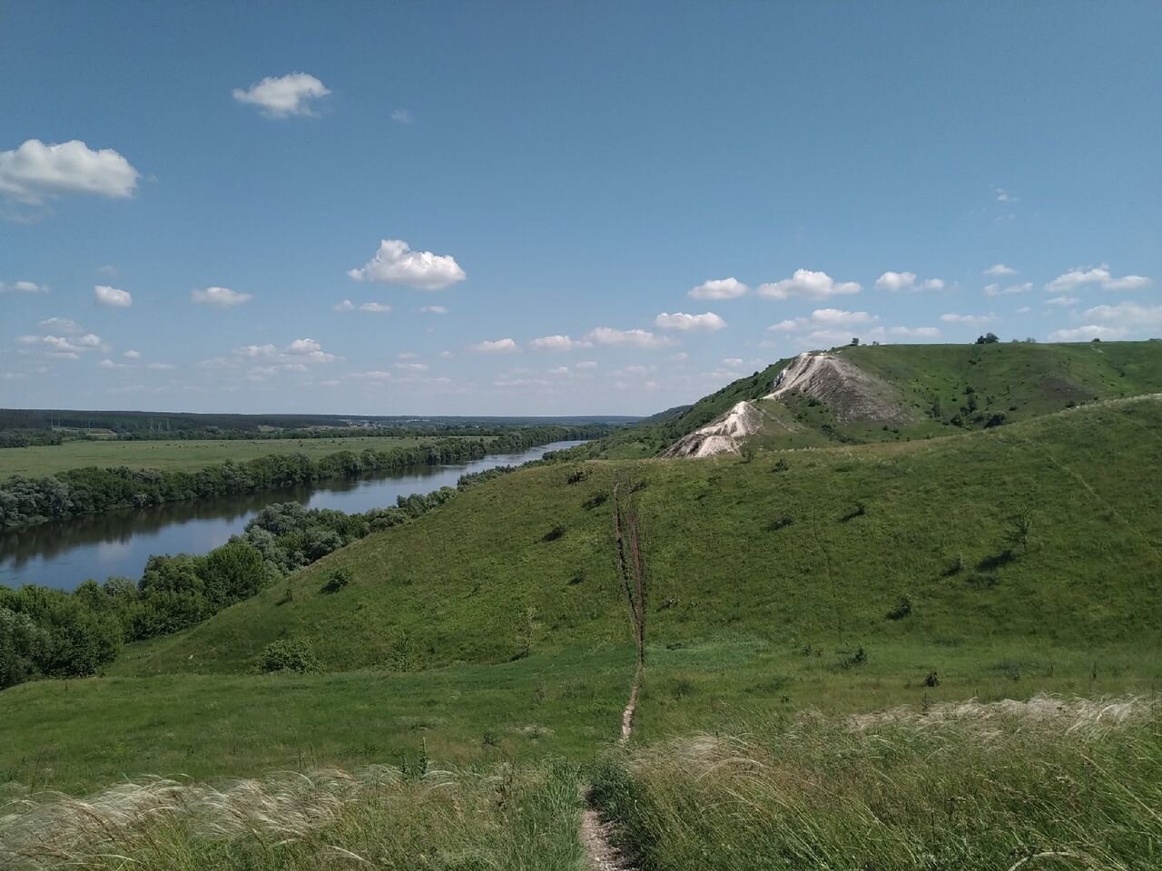 Photo #6161606