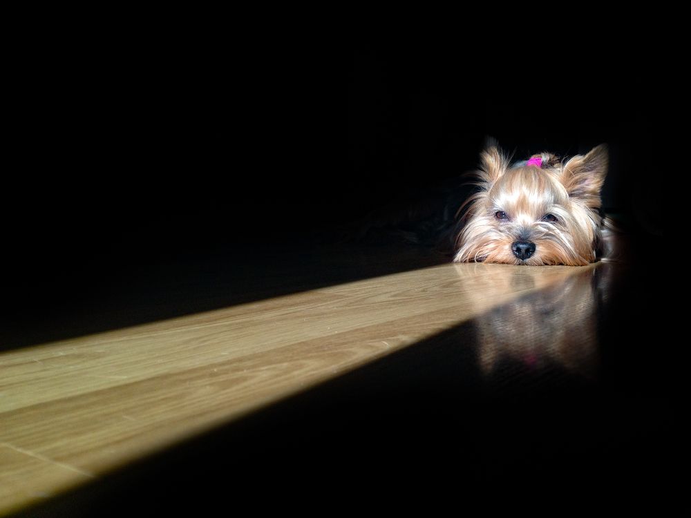 Photograph by Катя Осипова