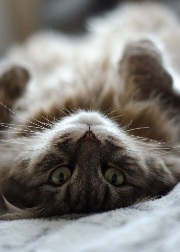 Photograph by Анастасия Кашенко