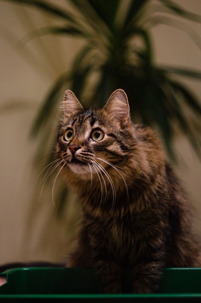 Что ты сказала?