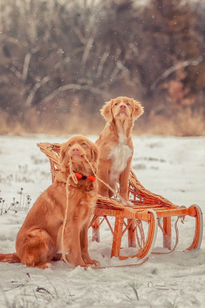 Мама Слава и дочь Руфа