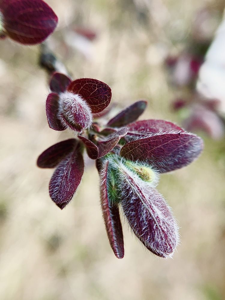 Photograph by Екатерина