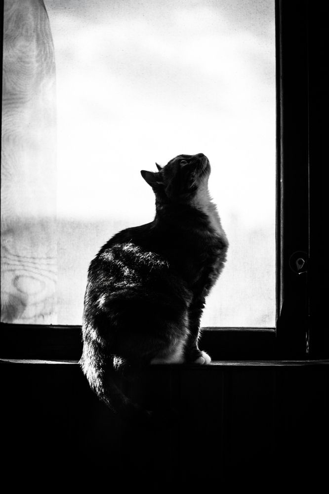 Photograph by Dinara Sharipova