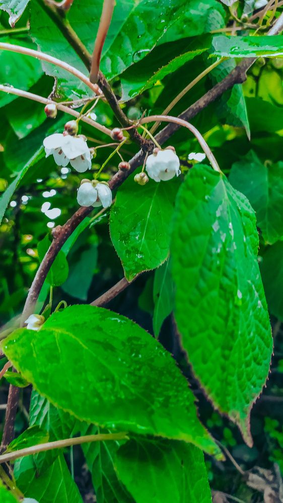 Фотография автора Андрей Морозов
