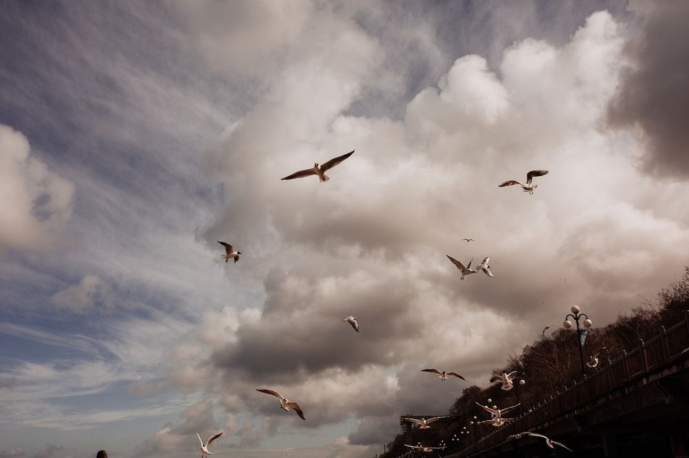 Photograph by Dinara Sharipova