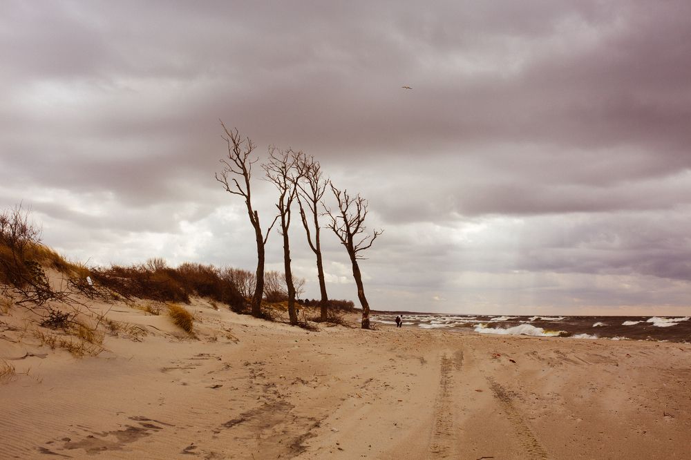 Photograph by Dinara Sharipova