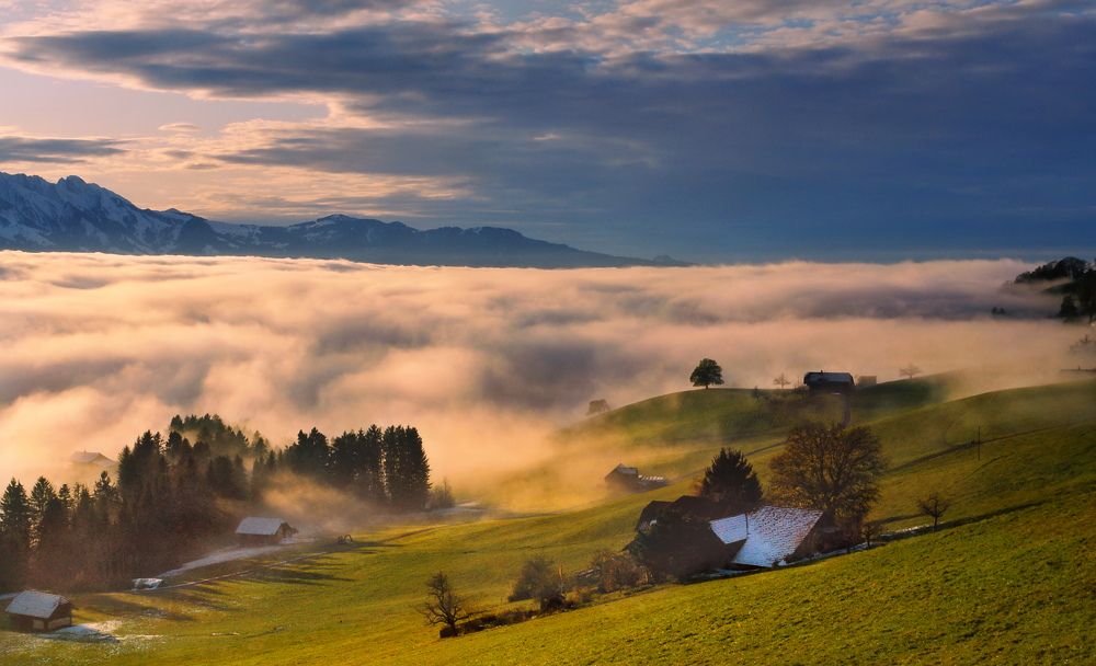 Photograph by Elena Wymann