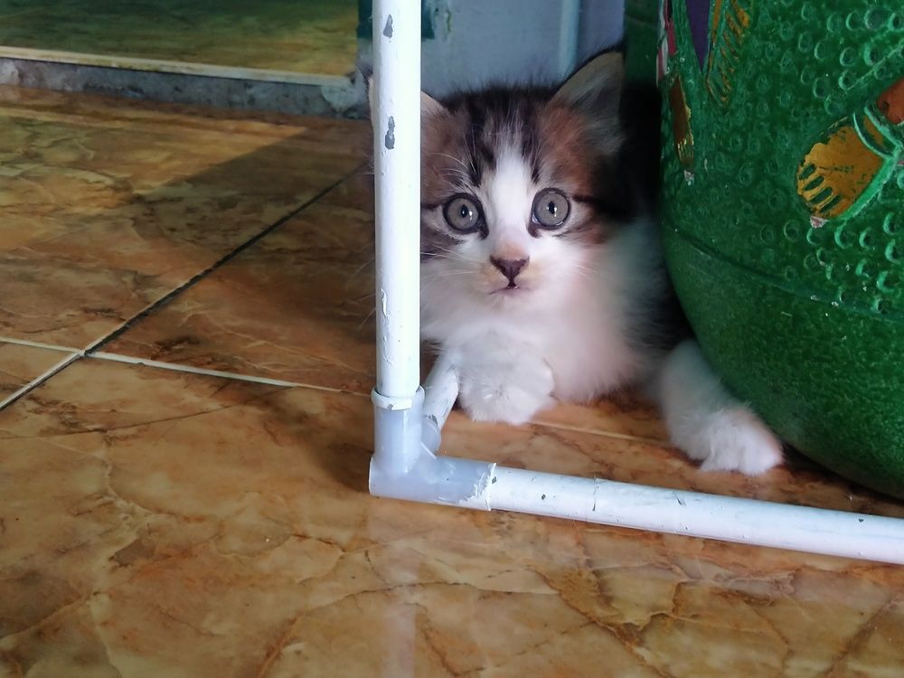 Photo #6161893