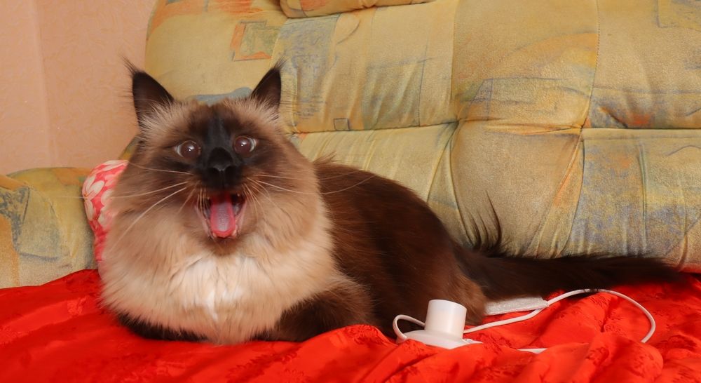 Photograph by Александр Филатов