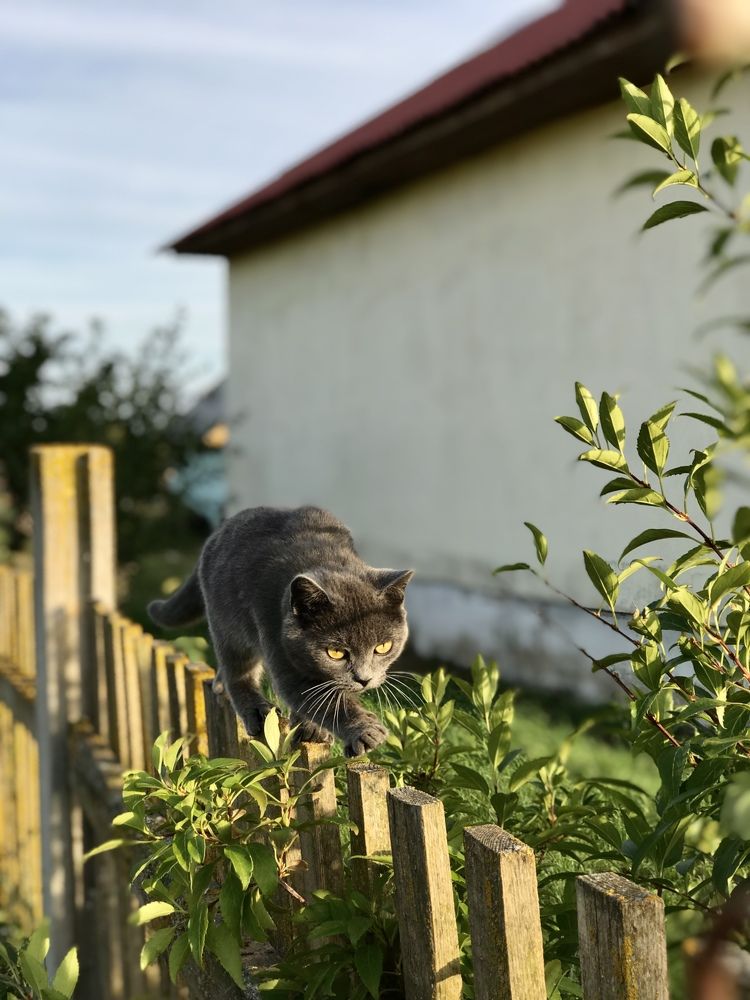 Photograph by Виктория Потапова