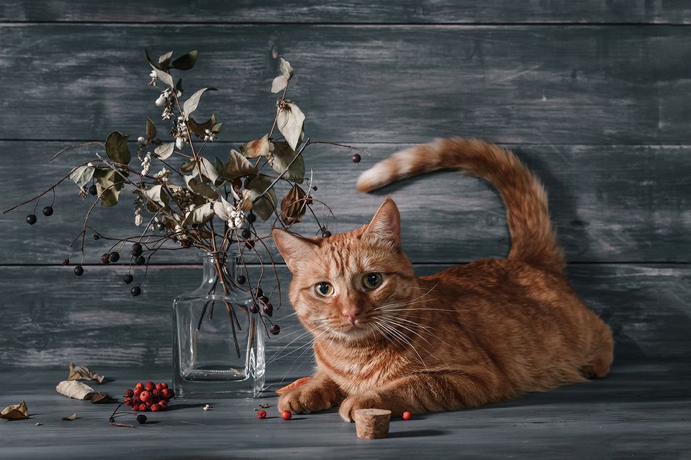 Photograph by MVO (Марк Орлов)