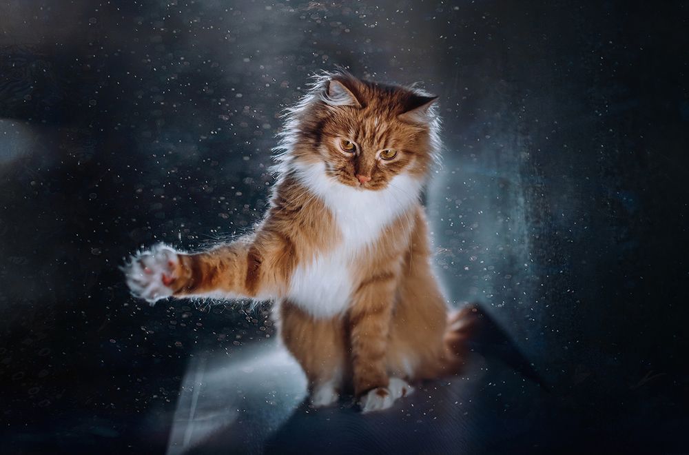 Photograph by MVO (Марк Орлов)