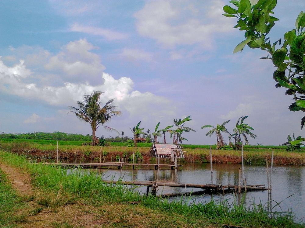 Photograph by Ruly Perdana