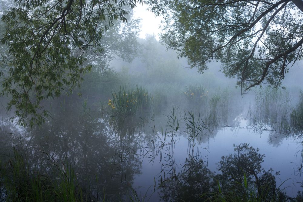Photograph by Светлана Кондрашова