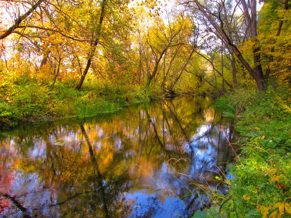 Photograph by Светлана Кондрашова