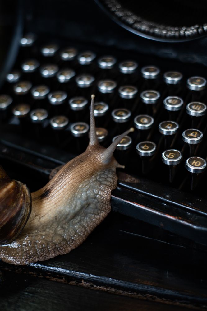 Photograph by Богдан Тарасов