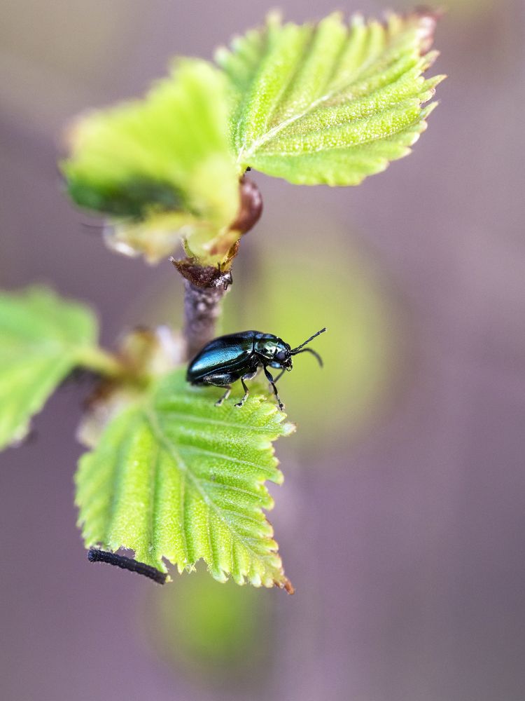 Photograph by Анастасия Коротеева