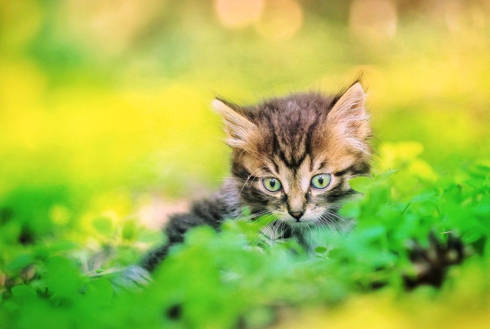 Photograph by Сергей Константинов