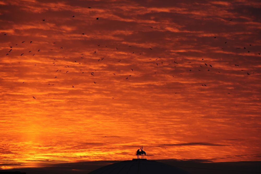 Photograph by Юлия Голубкова