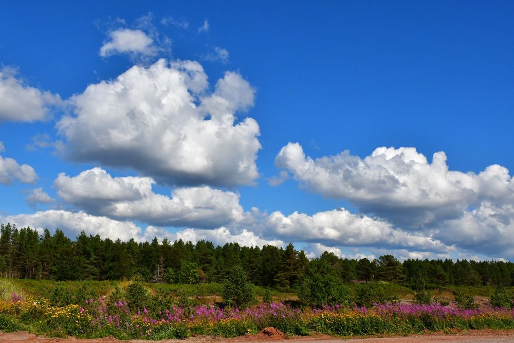 Photograph by Алина Голубева