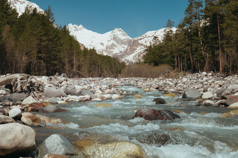 Photograph by Nikita