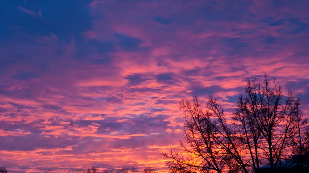 Photograph by Евгений Лысов