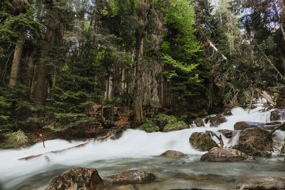 Photograph by Nikita