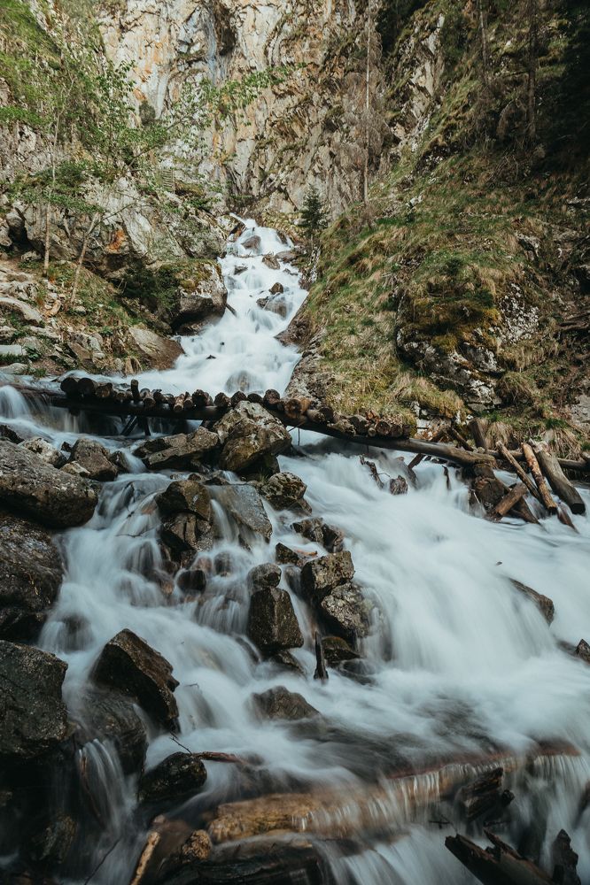 Photograph by Nikita