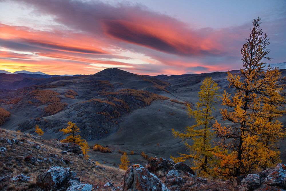 Photograph by Крицак Ольга