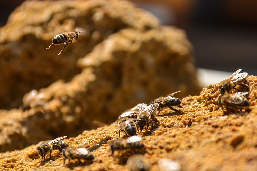 Photograph by Ольга Митина