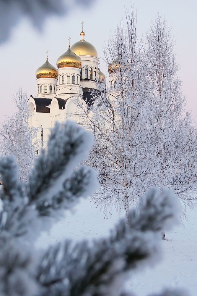 Photograph by Елена Кондратьева