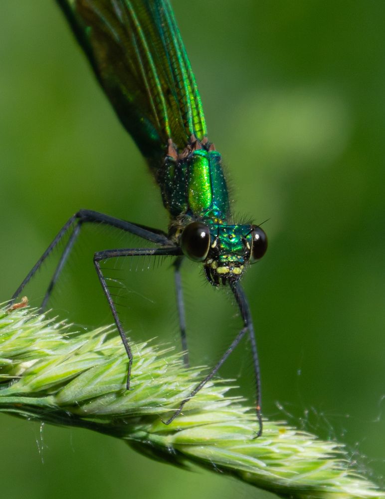 Photograph by Алексей Крукович