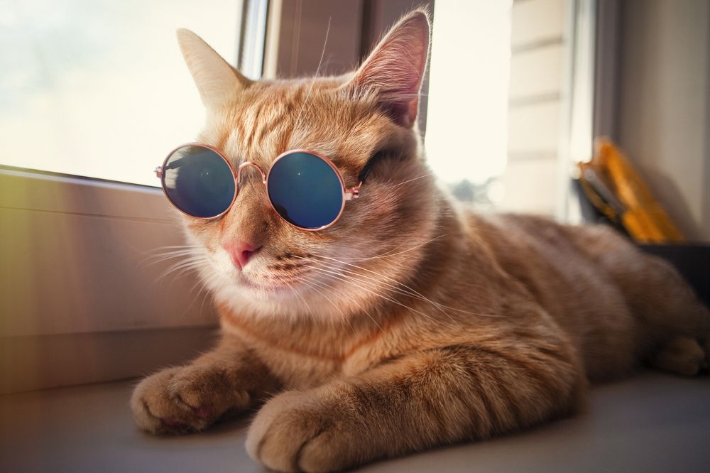 Photograph by Николай Лагоденко