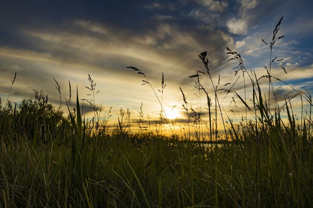 Фотография автора Вячеслав Бакаев