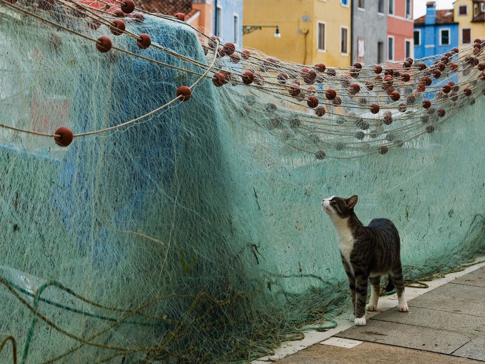 Photograph by Крицак Ольга