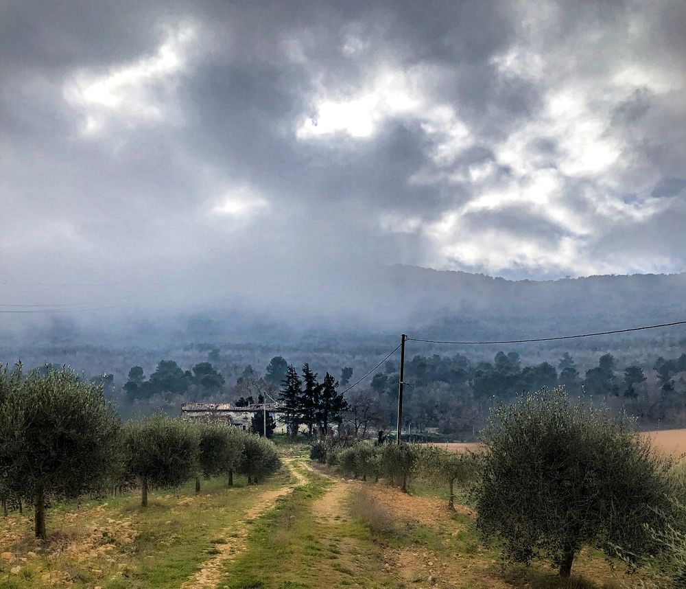 Photograph by Valentina Acrement