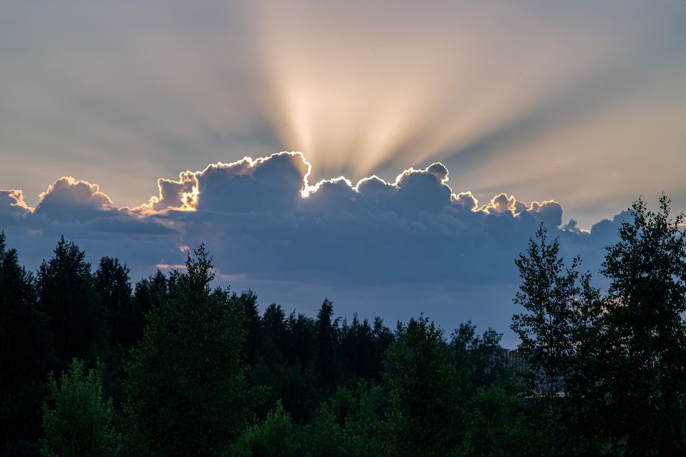 Photograph by Алексей Тимофеев