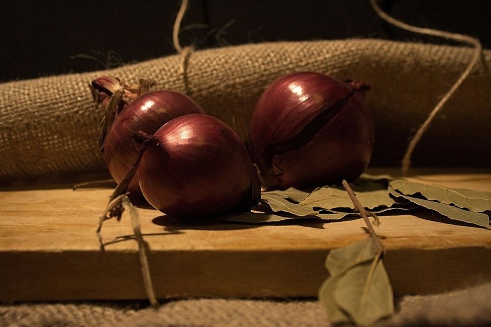 Photograph by Yroslava Veretina