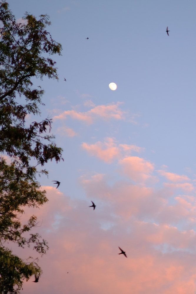 Photograph by Михаил Нестеренко