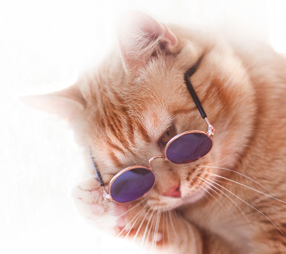 Photograph by Николай Лагоденко